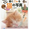 ネタじゃない❓❗️アメリカ大使館、パジャマねこさんの写真" 誤送信 "の件を謝罪❗️❗️