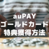 auPAYゴールドカード入会特典18000ポイントを無事ゲット