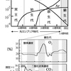 見えざる手の自然システムへの適用:見えざる手が地球の環境や生命の進化に与えた影響とは？