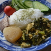 鶏むね肉と大根菜の山椒スパイスカレー（ヘルシーカレー）