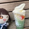 根がインドア派