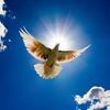 「人を生かす聖霊の愛」 ローマ14:1‐4 