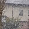 ３月１９日の雪