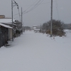 雪が降っています。