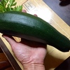 おんぼろ生産部隊戦況報告