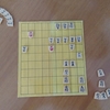 まぴこ家のレク時間③～私たちの将棋に物語はないから感想戦は不可能なのである～