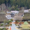 木々や草、水に霧に岩石にと、色んなところに神様がいらっしゃるんです。