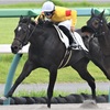 1/11 (土) 競馬メモ