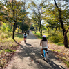 2023.11 山梨の旅（２日目）　〜 山梨県森林公園金川の森・RVパークやまなみの湯 〜