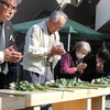 在日四・三 75周年慰霊祭を開催しました