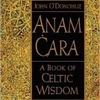 Anam Cara: A Journey into Friendship and Spiritual Connection