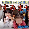 11月12日の動画