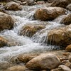 石灰岩の水質とヤマメの生産性の関係