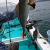 7月8日(木) カカリの試し釣り