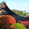  湖南三山常楽寺の秋その２