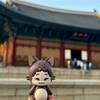 【ソウル】6月の3泊4日｜食費は惜しまず節約旅プラン＆費用公開（2025.6）