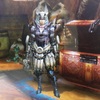 MH4Gの女戦士風(？)な双剣装備の話