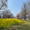 ロケハン その4 ─ 2022.4.6 呉羽山公園・都市緑化植物園 ─