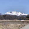 めまぐるしく春の雪