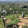 甲斐一宮大文字焼き