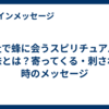 神社で蜂に会うスピリチュアルな意味とは？寄ってくる・刺される時のメッセージ
