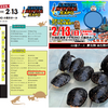 ◇2022.2.13 EXOTIC REPTILE EXPO 出店参加