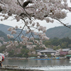 大変な時期に旅行を予約してしまったのかもしれない