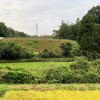 藤藪ため池（岐阜県可児）