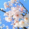 不登校になって～忘れないよ～