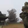 朝霧の中の佐保神社、新池のカモ