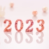 2023年うさぎ年もどうぞよろしく