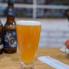 Y.MARKET BREWINGの南国旅行（IPA）が本域の南国旅行でびっくりした話。