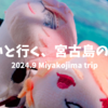 ぬいと行く、宮古島の青と風と冒険