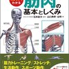 動作でわかる筋肉の基本としくみ　山口典孝・左明 著 / 石井直方 監修