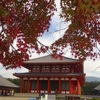 興福寺の紅葉２０２１年（１１月後半）