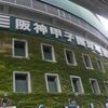 甲子園球場に閑古鳥が鳴いていた時代。いかに阪神は関西屈指の人気球団となったのか？阪神タイガースの歴史を読み直す（１）