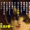できるなら飛んでいきたい！「国会前で九条ねぎを振りかざすデモ」