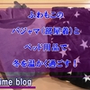 寒い冬はふわもこパジャマとふわもこベッド用品で乗り切ろう！ 目指せ頭寒足熱