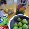 梅酒を仕込みました