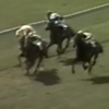 1979年～1985年－渡英後3週間でフォームチェンジと初騎乗初勝利、渡英後１ヶ月半で2000ギニー勝利、史上初の英米リーディング達成と英米ダービー制覇達成、英牝馬三冠達成－