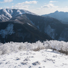 青空霧氷の綿向山③ 2020.2.11