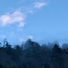 雪が降った