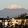 富士山の冠雪が進んでいます