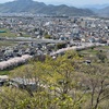 三井山と満開の桜