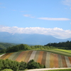 小学生とのオンライン授業