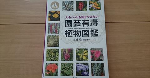 ジューンベリーとは 動植物の人気 最新記事を集めました はてな