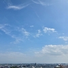 就眠運動・・・ほんとうに眠っていたネムノキ🍃