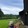 巨匠と行く、クマなつ！〜山しのぶの朝編