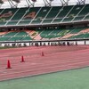 初心者がツールドエコパ（2025）に参戦した末路・・・