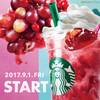 【９／１発売】スタバ新作グレーピーグレープティー＆フラペチーノを飲んでみた